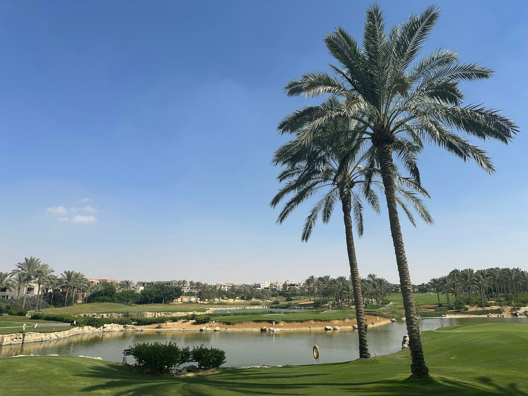 Un parcours de golf bordé de palmiers