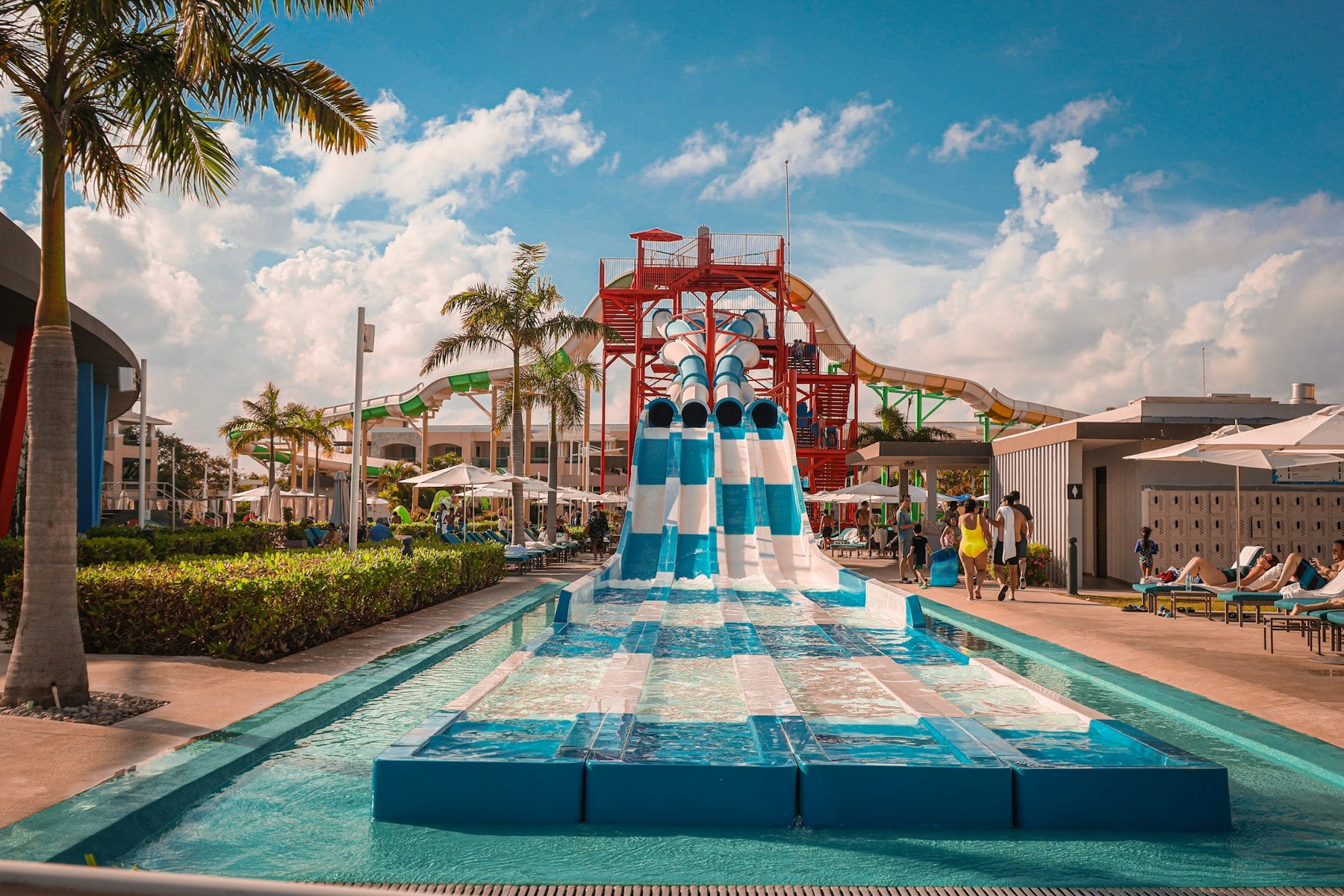 Toboggans et palmiers dans un parc aquatique